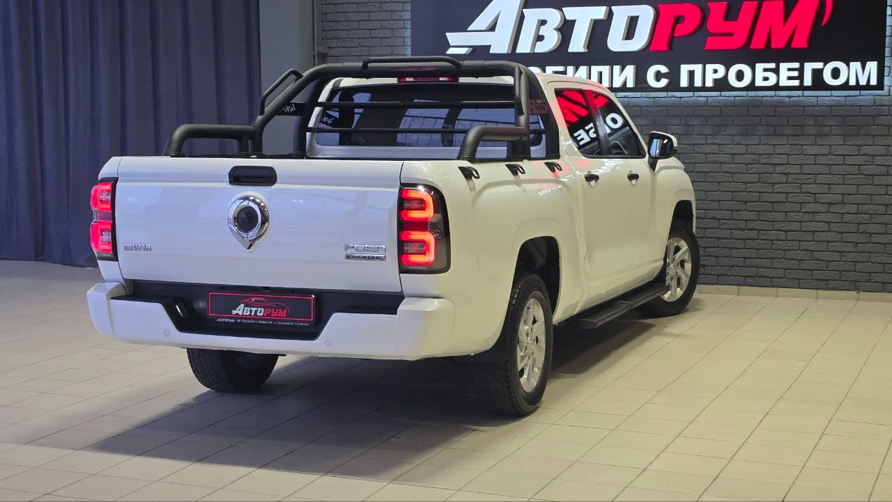 Great Wall Poer King Kong - 5